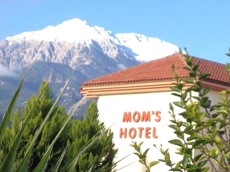 Mg Moms Hotel ケメル エクステリア 写真
